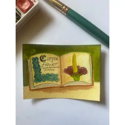 Corpse Flower aceo art card thumbnail 1