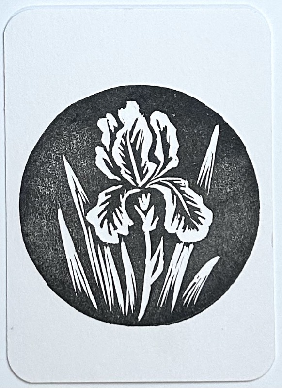 Iris 5 aceo art card