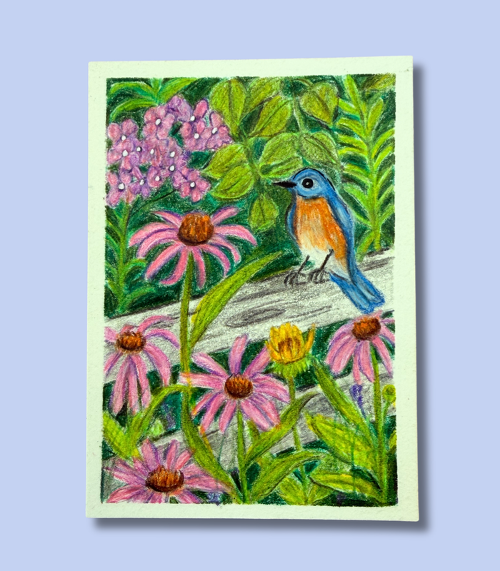 Bluebird and Wildflowers - Original ACEO - Colored Pencil on Illustration Board aceo art card