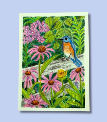 Bluebird and Wildflowers - Original ACEO - Colored Pencil on Illustration Board aceo art card thumbnail 1