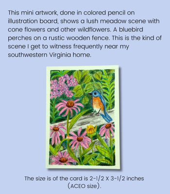 Bluebird and Wildflowers - Original ACEO - Colored Pencil on Illustration Board aceo art card thumbnail 2