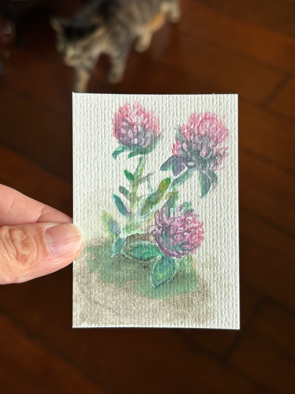 ACEO original, Red Clover aceo art card