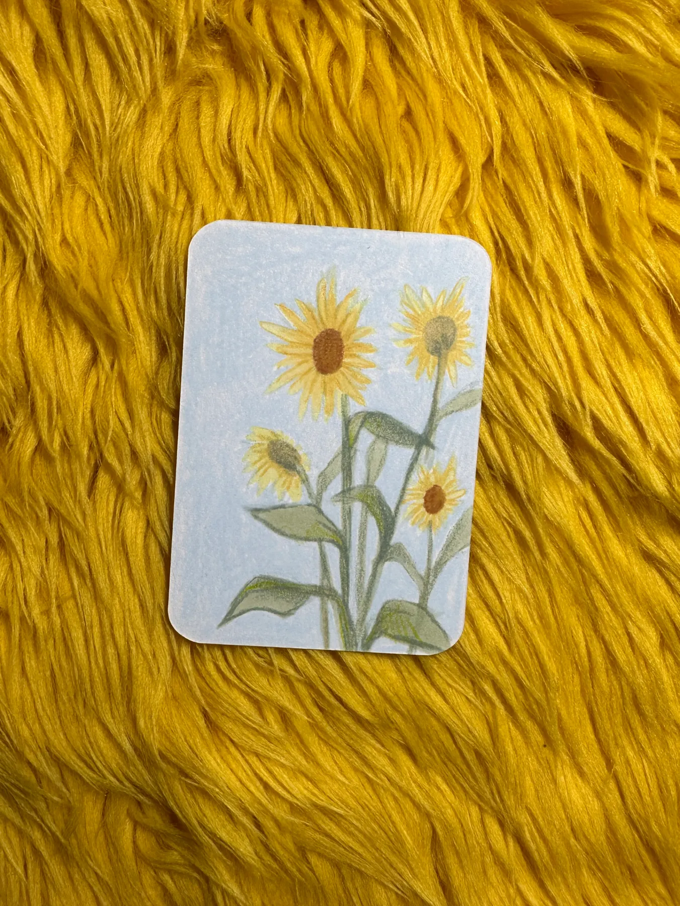 Sunny Study aceo art card