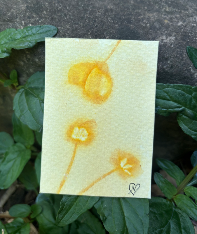 SunPrint 01 aceo art card
