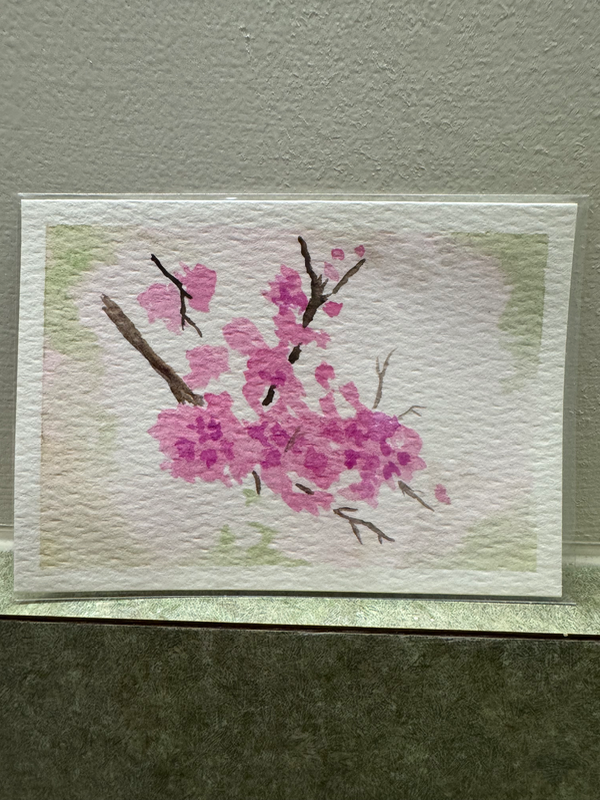 Sakura Cherry Blossom aceo art card