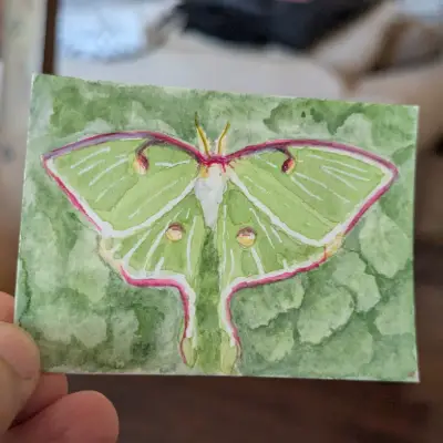 ACEO Original Watercolor Painting of a Green Luna Moth aceo art card thumbnail 2