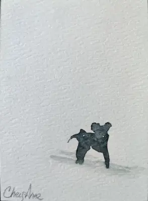 ACEO WaterColour Black Calf study by CheyAnne aceo art card thumbnail 1