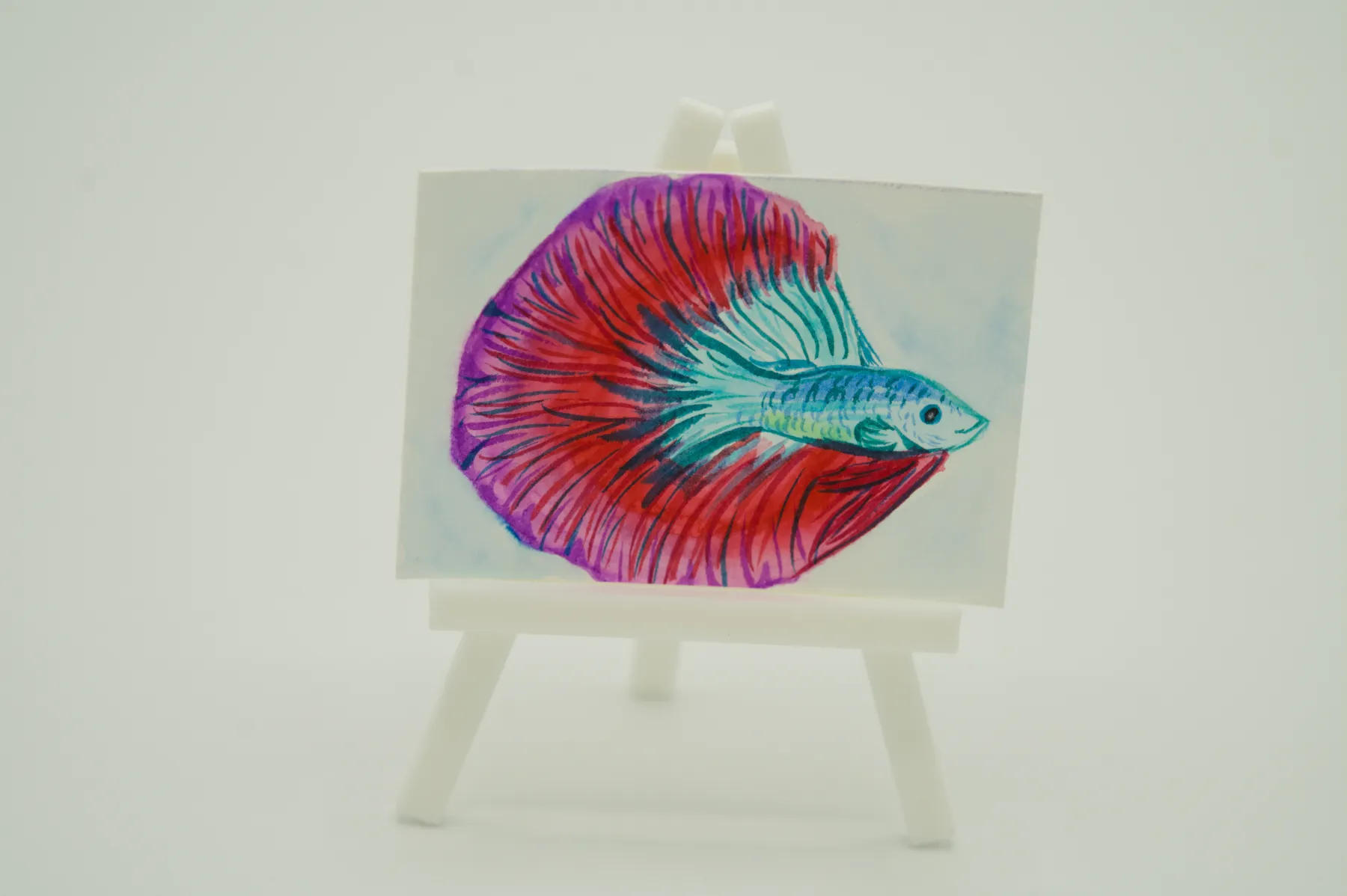 Beta aceo art card