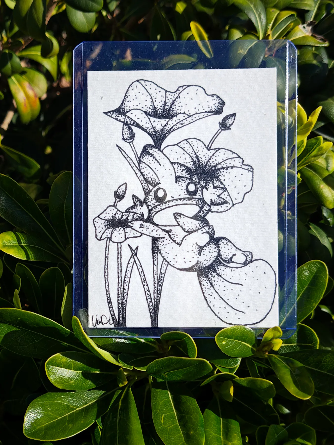 Mud Fish aceo art card