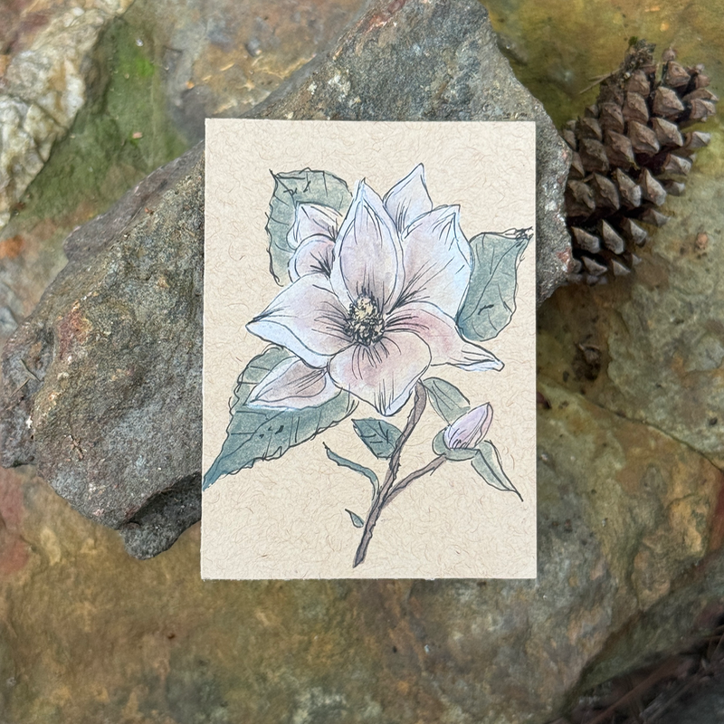ACEO original, Magnolia, Floral, Louisiana, Watercolor, 3.5x2.5in, Flower,By Lark Watercolor and Art aceo art card