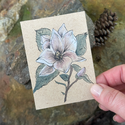 ACEO original, Magnolia, Floral, Louisiana, Watercolor, 3.5x2.5in, Flower,By Lark Watercolor and Art aceo art card thumbnail 2