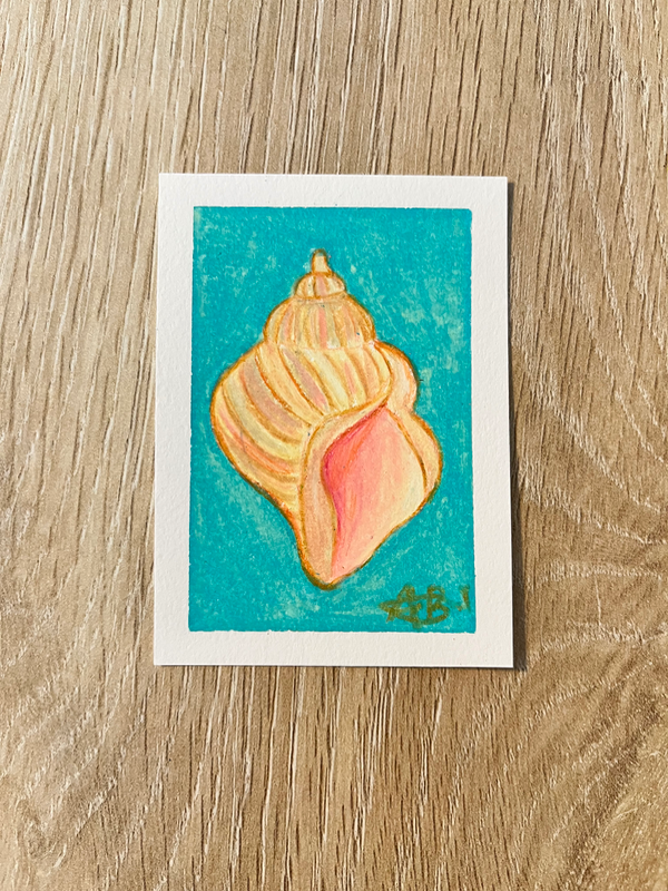 Conch aceo art card