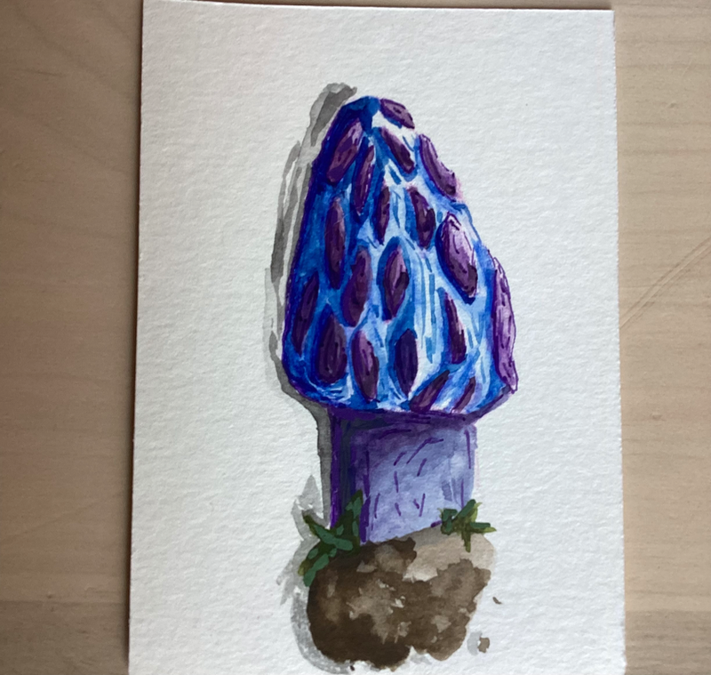 Purple mushroom aceo art card