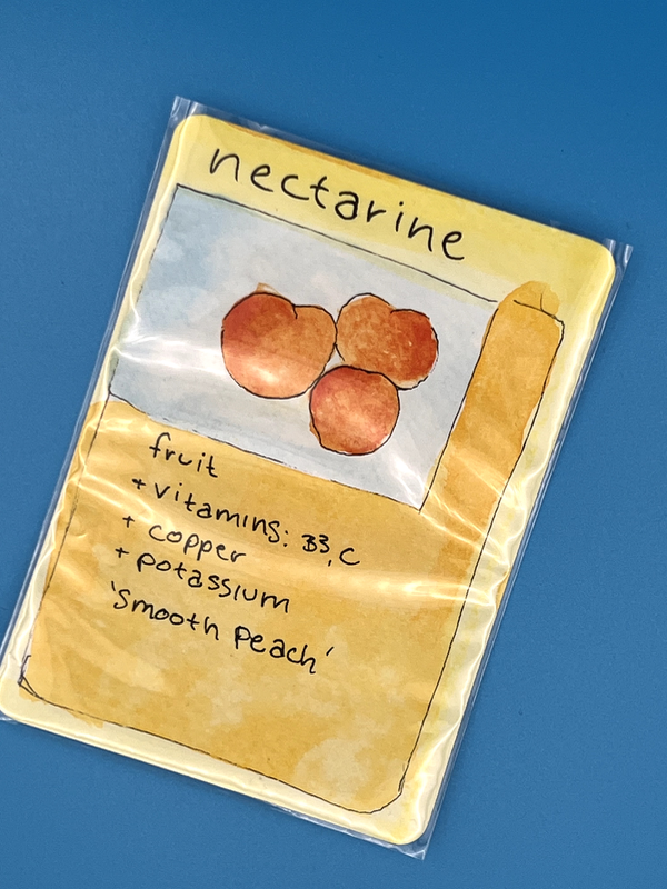 Nectarine 8/99 aceo art card