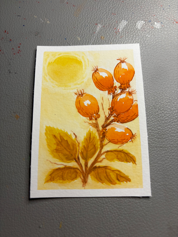 Seed Pods aceo art card