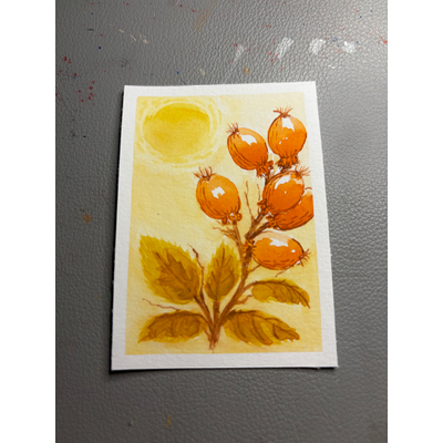 Seed Pods aceo art card thumbnail 1