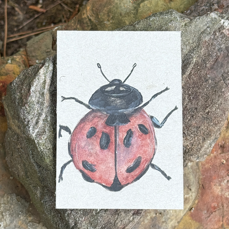 ACEO Watercolor Nature Collection “Ladybug” aceo art card