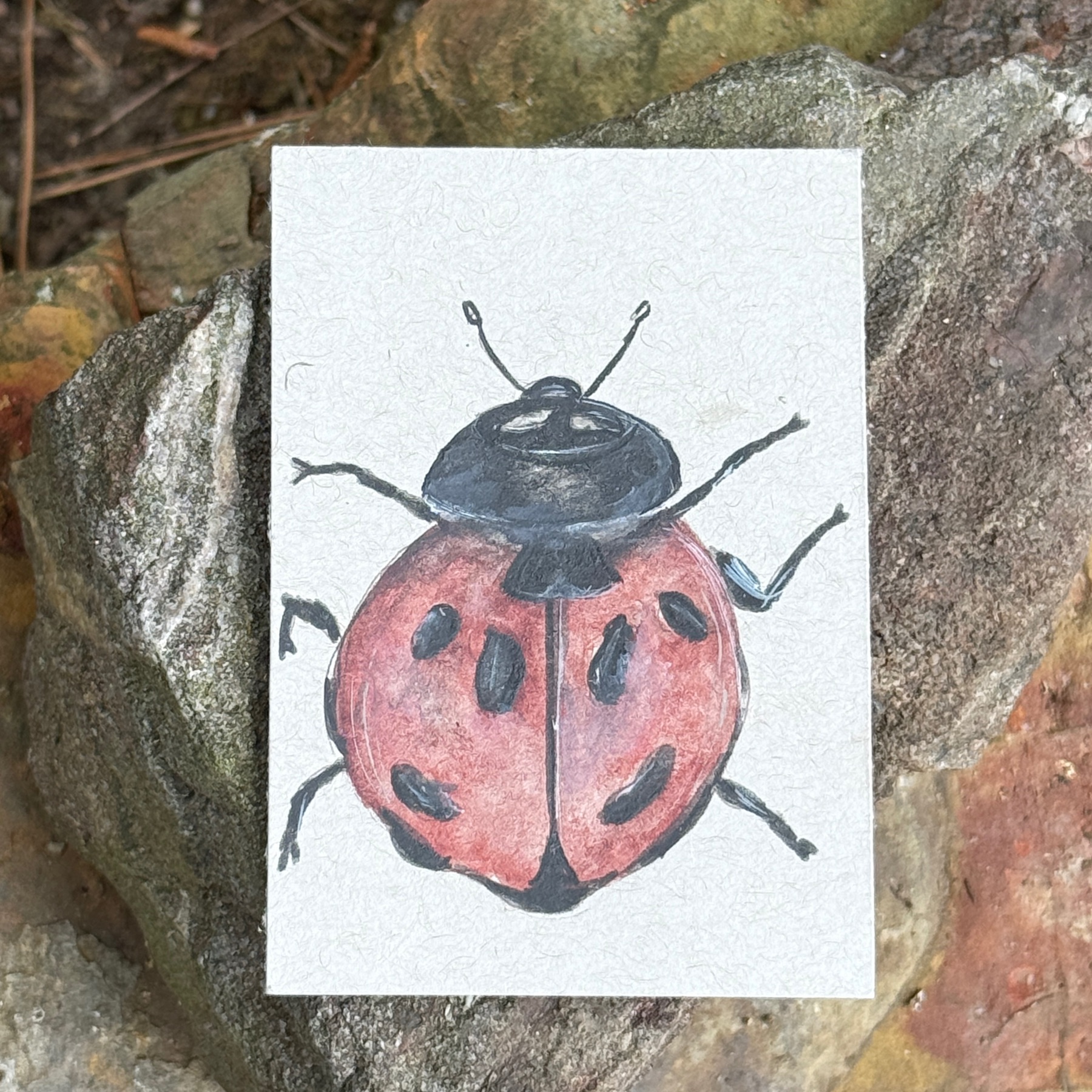 ACEO Watercolor Nature Collection “Ladybug” aceo art card
