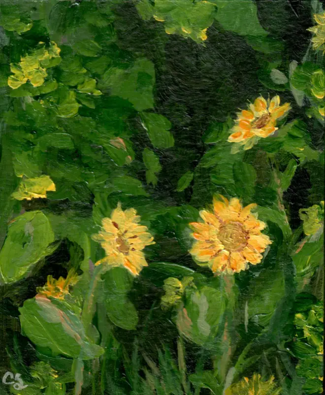 Sunflowers aceo art card