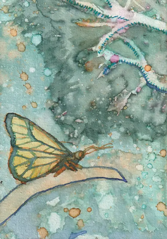 Butterfly Perch aceo art card