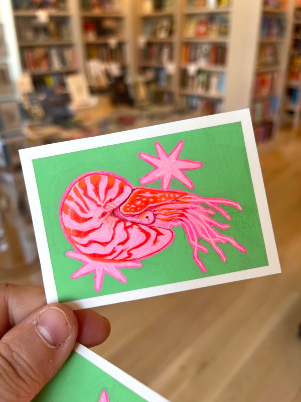 Starburst Nautilus #2 aceo art card