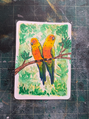 Sun Conure aceo art card thumbnail 1