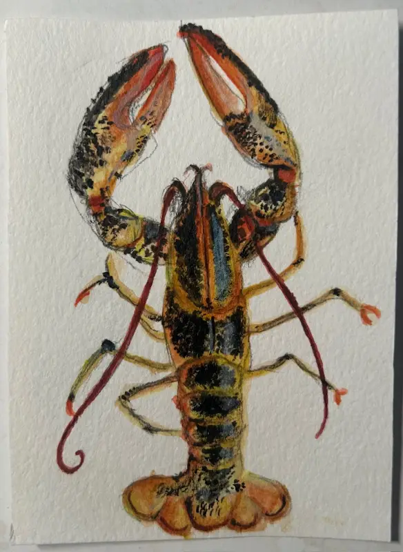 Lobster aceo art card