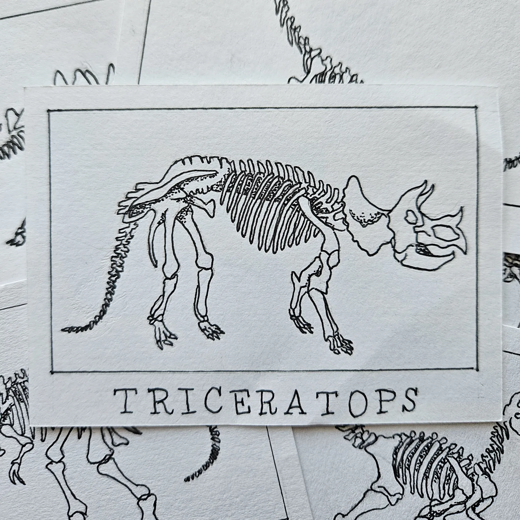 Ink Pocket Paleontology #5 aceo art card