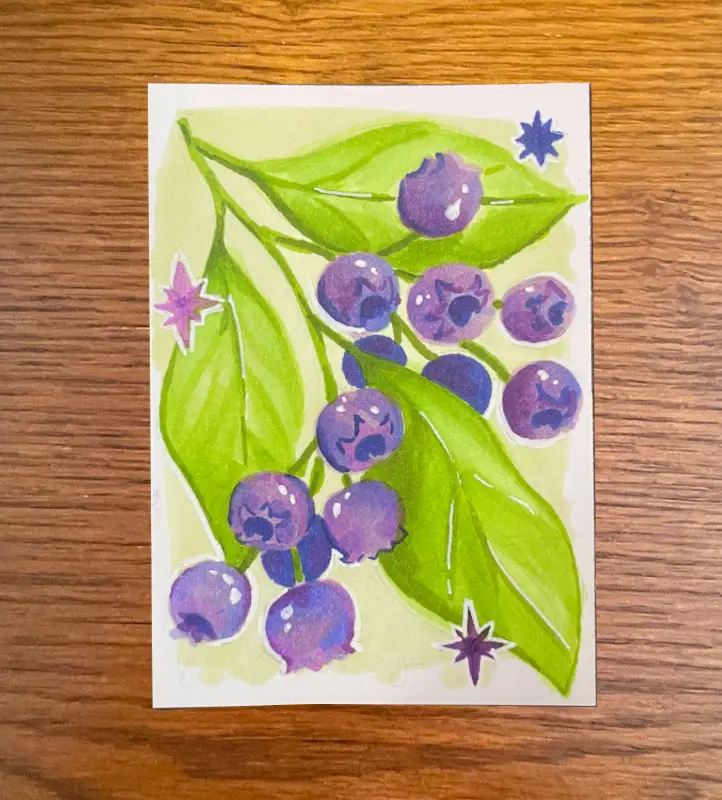 Fruit - Blueberry Illustration aceo art card