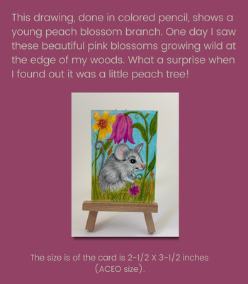 Field Mouse  - Colored Pencil on Illustration Board Drawing =- Wildflower Meadow Animal Art (ACEO) aceo art card thumbnail 2