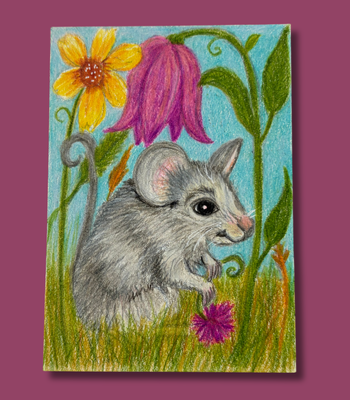 Field Mouse  - Colored Pencil on Illustration Board Drawing =- Wildflower Meadow Animal Art (ACEO) aceo art card thumbnail 1