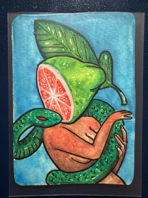 Pomelo Lilith aceo art card thumbnail 1