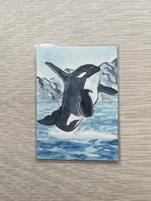 “Breaching Bull” Orca Series 4/4 aceo art card thumbnail 1