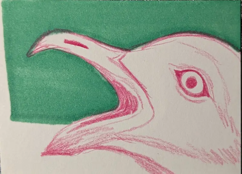 Screaming Seagull aceo art card