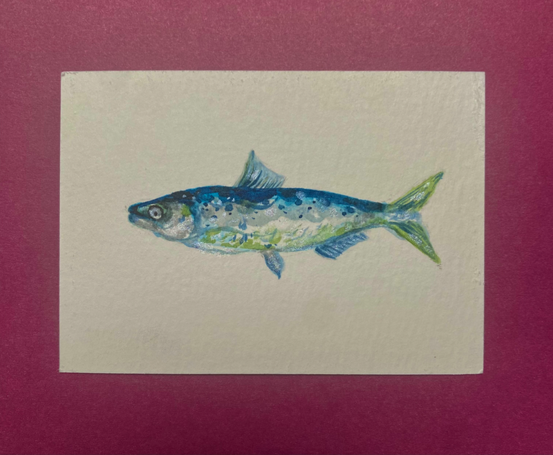 little minnow aceo art card