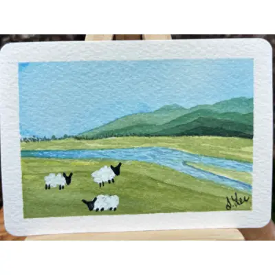 Sheep Study: Three Sheep aceo art card thumbnail 2