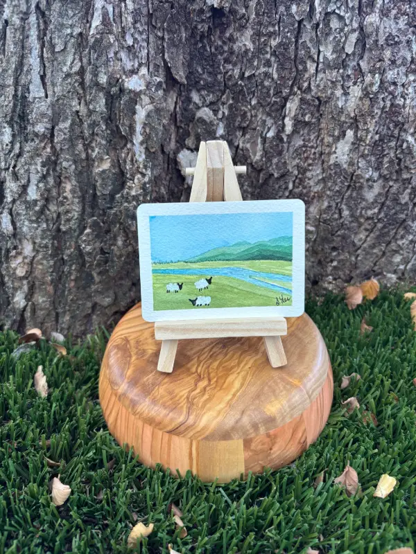 Sheep Study: Three Sheep aceo art card
