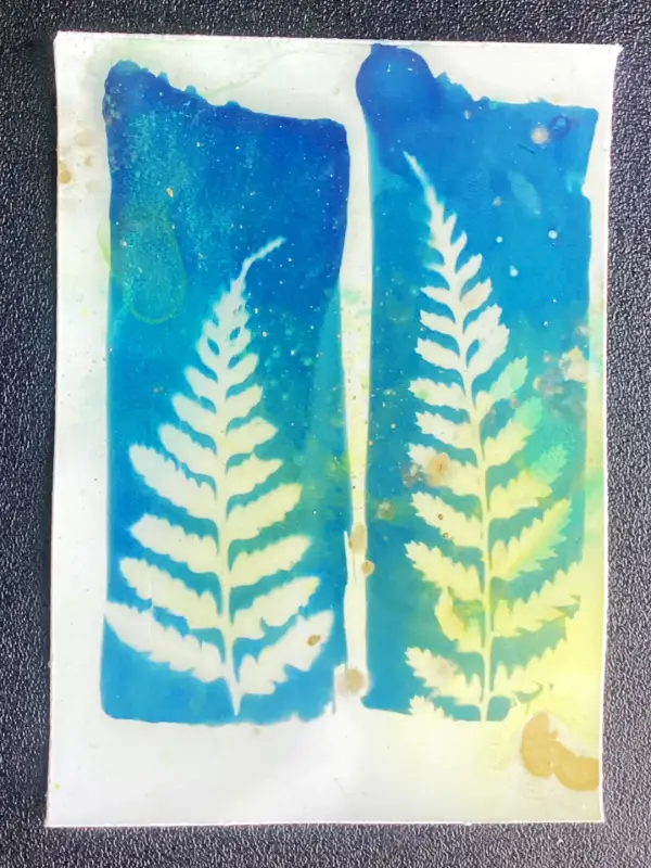 cousins aceo art card