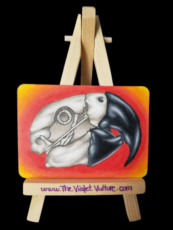 Macaw Sunset aceo art card