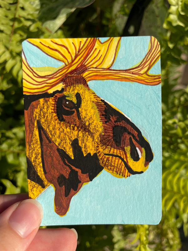 Moose On The Lake aceo art card