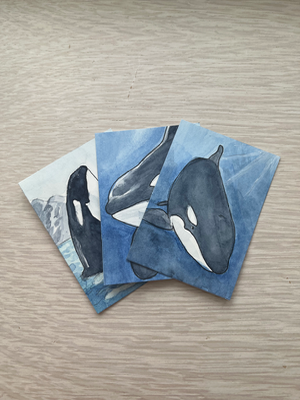 “Matriarch” Orca Series 2/4 aceo art card thumbnail 2