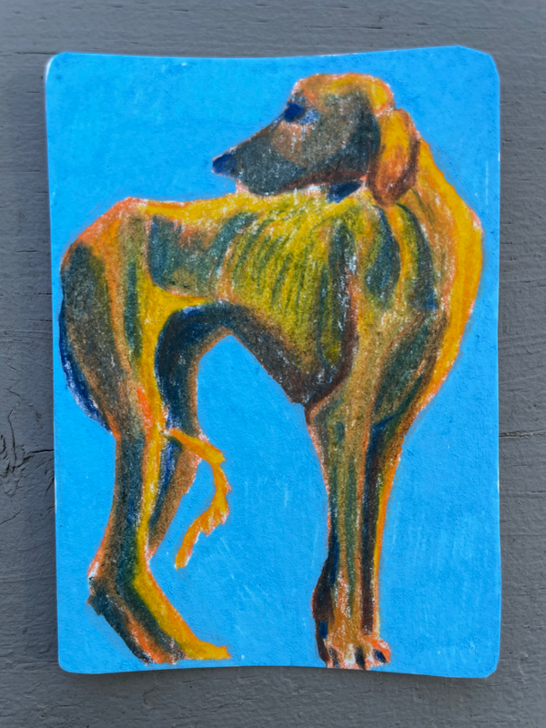 Skinny Dog aceo art card