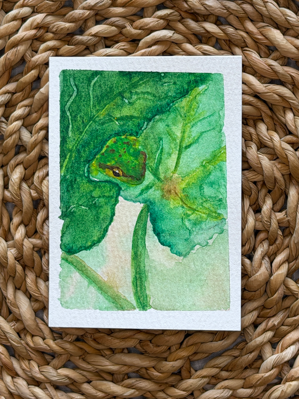 ‘What is Under the Leaf’ ACEO by Wilderness Daydreamer aceo art card