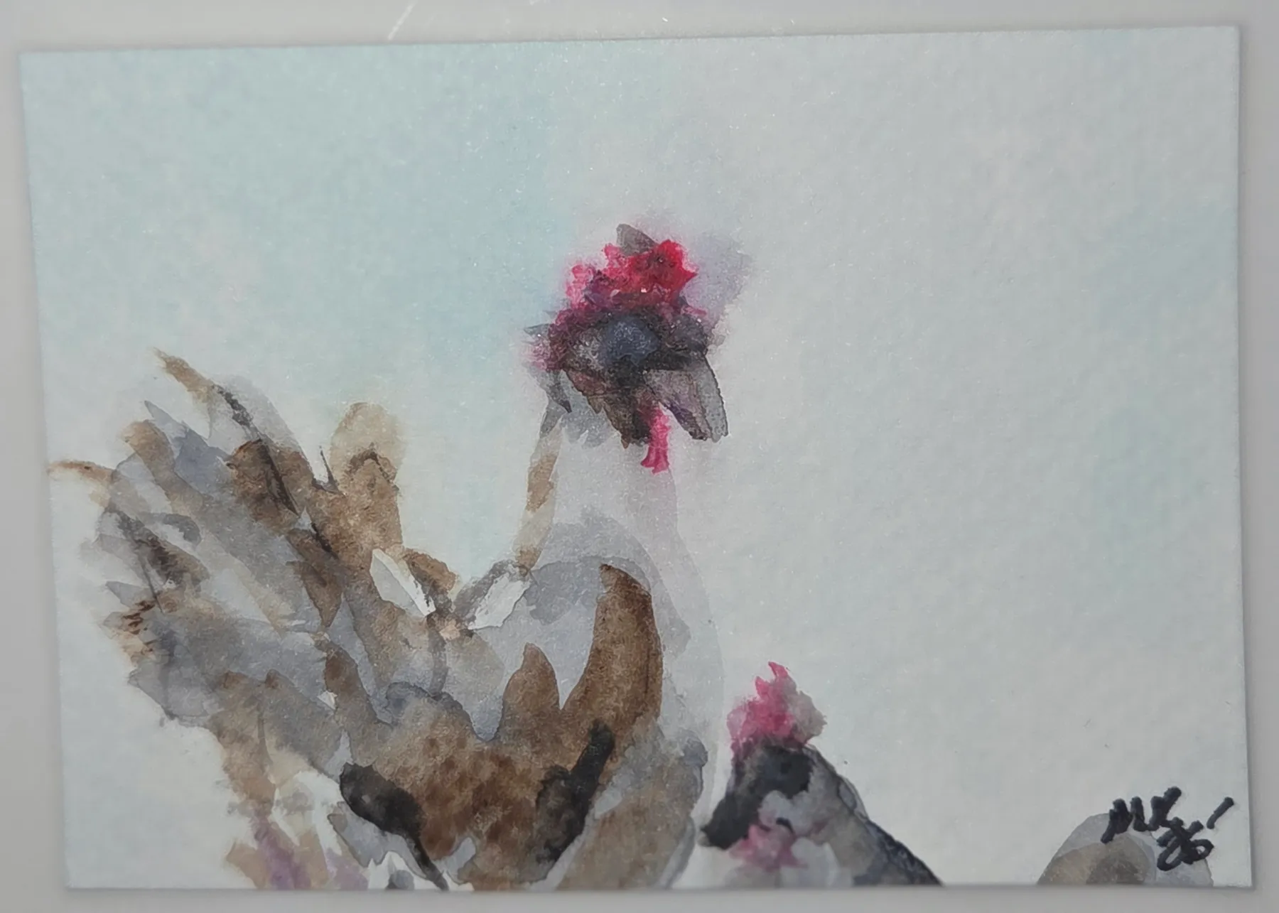 Chickenfriends aceo art card