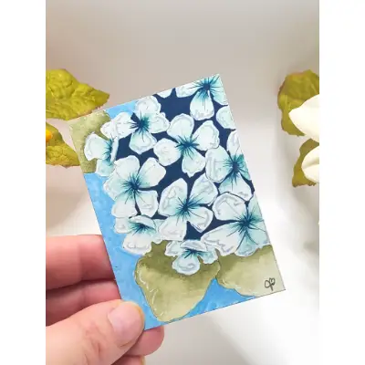 Blue Hydrangea Bliss aceo art card thumbnail 2