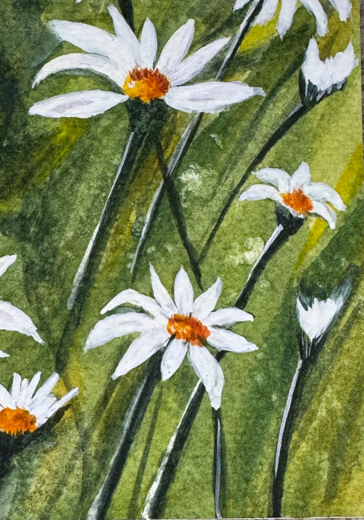 Spring daisies aceo art card