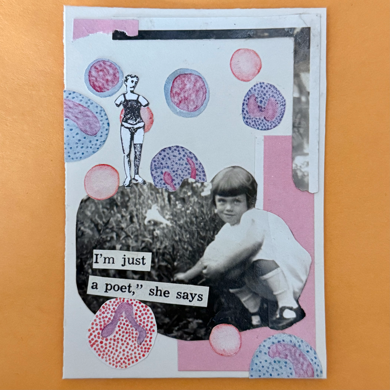 she says aceo art card