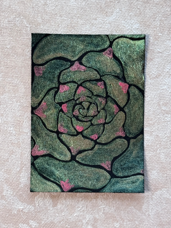 The watercolor succulent on black paper aceo art card