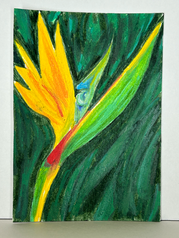 Lush Bird of Paradise aceo art card