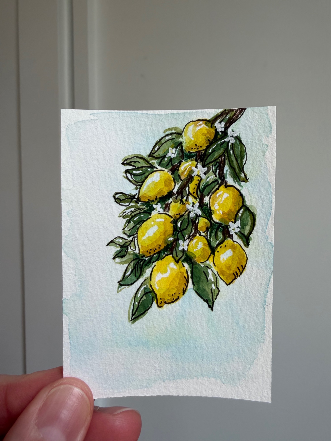 Summer Lemons aceo art card